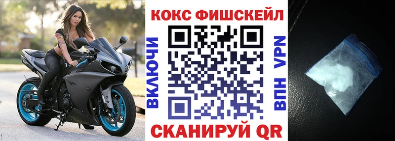 Кокаин FishScale  Купить закладки  Суздаль 