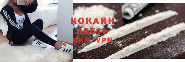 бошки Аркадак