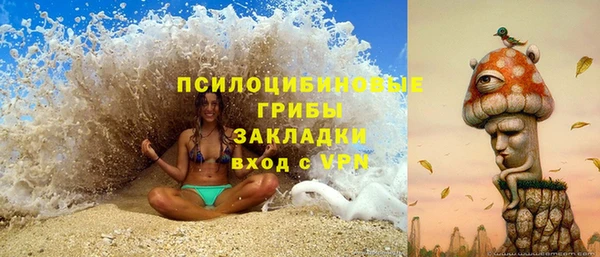 СК Арсеньев