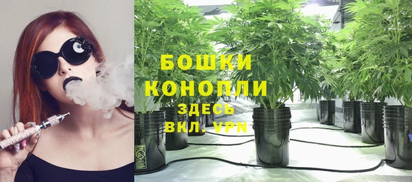 бошки Аркадак
