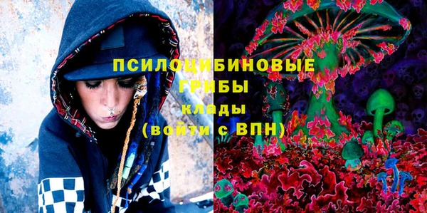 бошки Аркадак