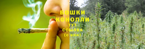 бошки Аркадак